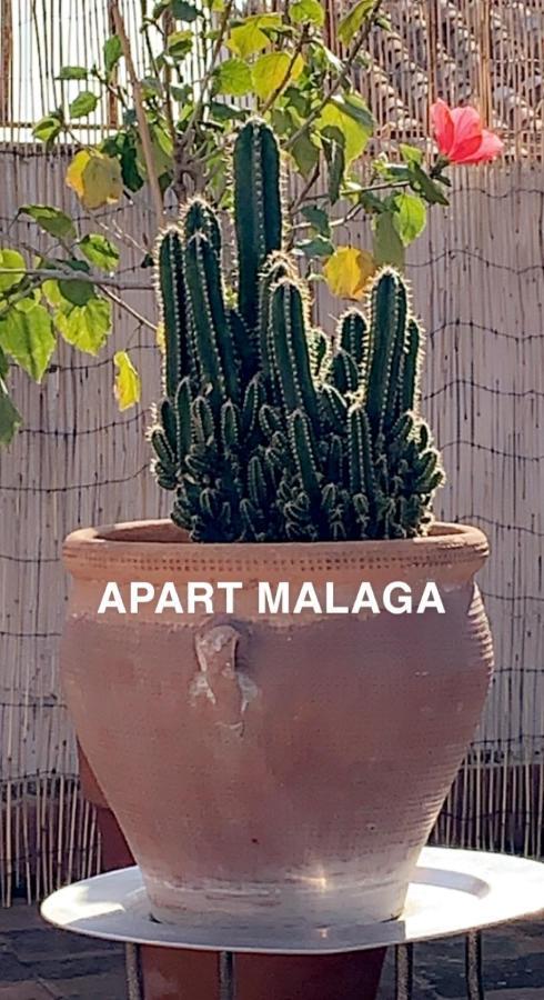 Appartement Plein Coeur Centre Historique De Malaga Ngoại thất bức ảnh